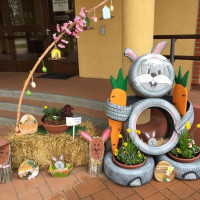 337517475_1276874082900663_9219929764948331004_n