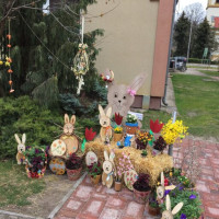 337697264_190362530405868_8501489826537239692_n