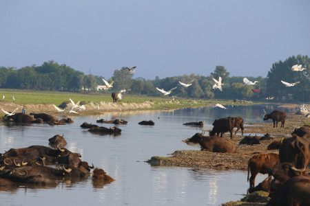 9. Poluare și zgomot
