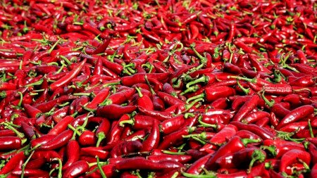 Szombati paprikázás