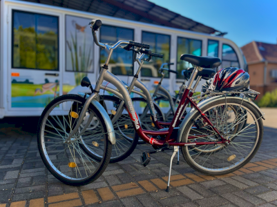 Bicycle rental