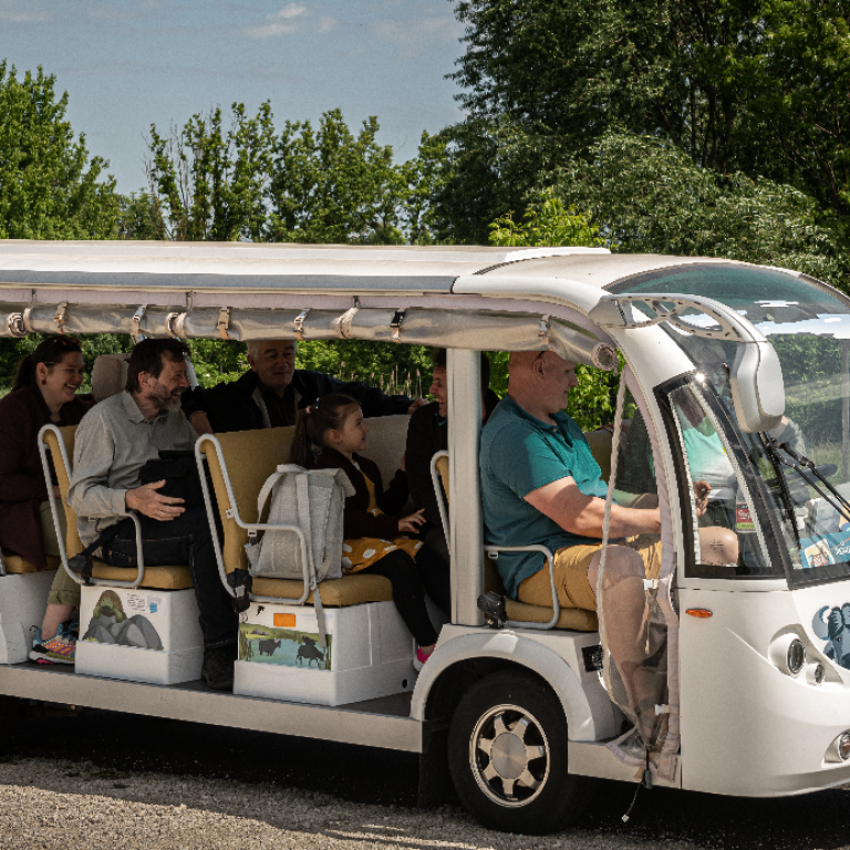 Buba autobuski letovi
