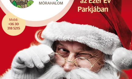 Családi 2+3 belépőjegy a Mikulás-házba - helyi lakos számára