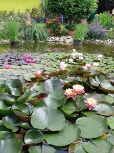 Díszkert látogatás