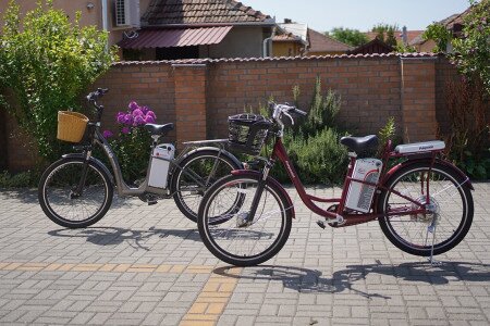 Electric bicycle rental