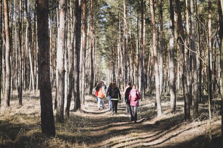 Értékeink nyomában 4.: Kalandtúra az ásotthalmi erdőben
