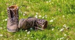 Értékeink nyomában 4.: Séta határtalanul