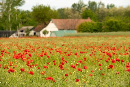 Commitment to responsible tourism 