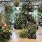image_50755329