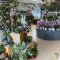 image_50813441