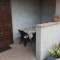 image_6483441 (2)