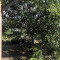 IMG_20190711_155621