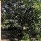 IMG_20190711_155621
