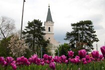 Klasszikus gitár hangverseny
