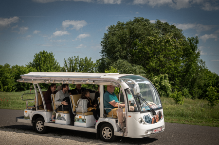 12. Menedzsment és információ