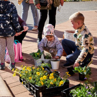 Mórahalom ünnepi díszben (2025)!