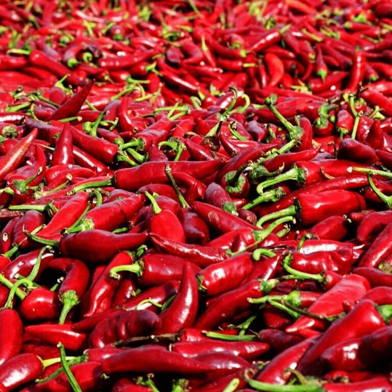 Pepper Museum