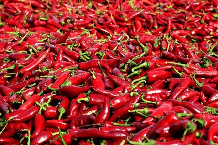 Pepper Museum