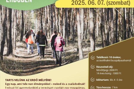 Kalandtúra az ásotthalmi erdőben