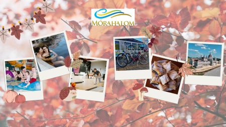 Programs of Mórahalom and the surrounding settlements