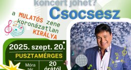 Pusztamérgesi falunapok és főző verseny