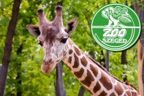 Szezonnyitó és víz világnapi program családoknak