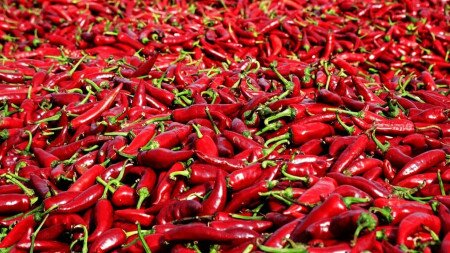 Szombati paprikázás