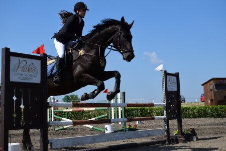 THURSDAY HORSE PROGRAM