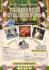 Tojáskereső  gyalogos túra