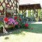 udvar_2