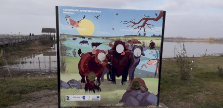 Új fotófal a Nagyszéksósi Bivalyrezervátumnál