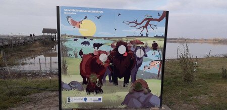 Új fotófal a Nagyszéksósi Bivalyrezervátumnál
