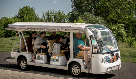 Zboruri cu autobuzul Buba