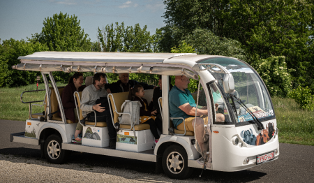 Zboruri cu autobuzul Buba