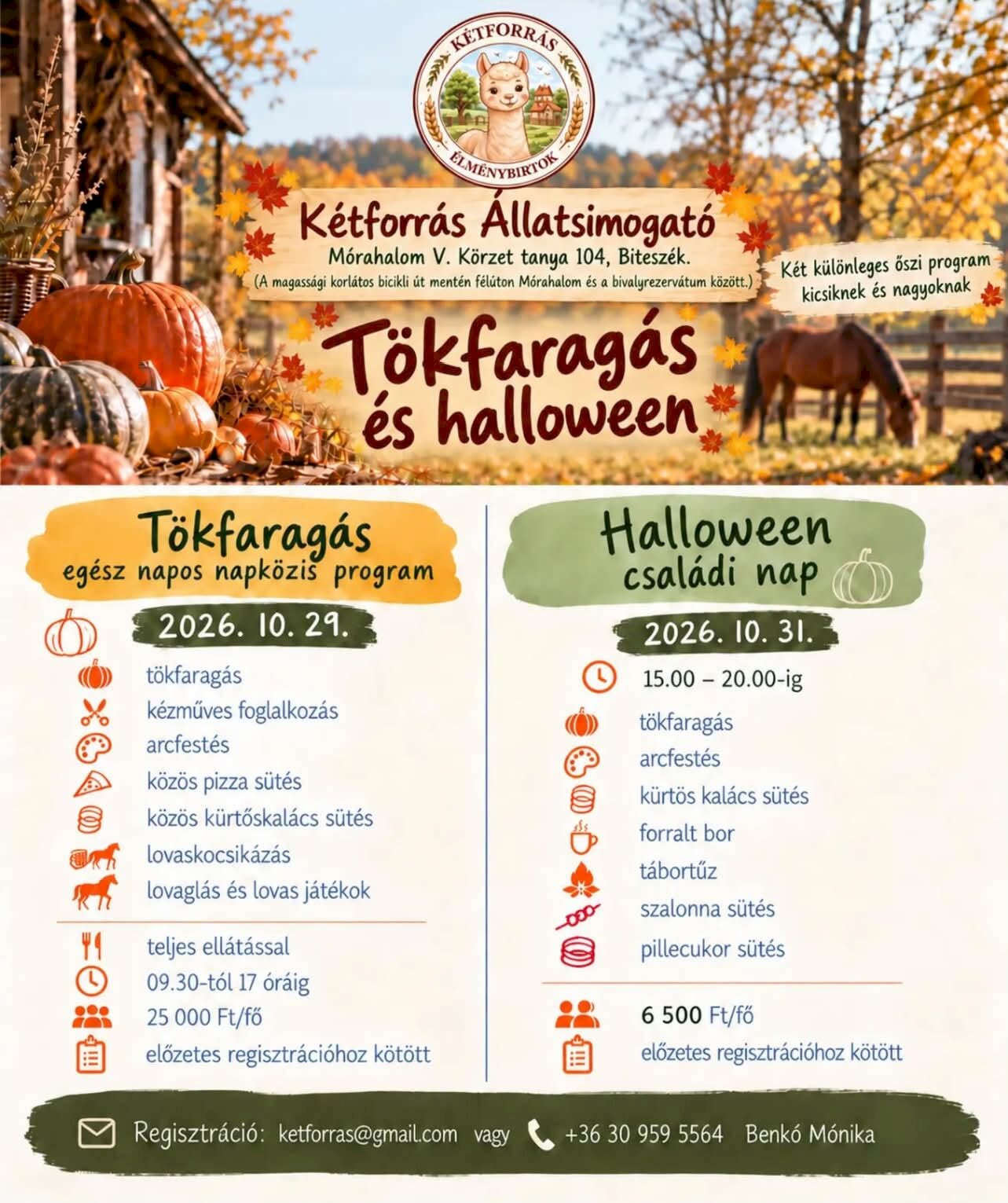 Kétforrás Állatsimogató – Tökfaragás és Halloween Helyszín: Mórahalom, V. Körzet tanya 104, Biteszék (a magassági korlátos biciklis út mentén, félúton Mórahalom és a bivalyrezervátum között). Elérhetőségek regisztrációhoz: E-mail: ketforras@gmail.com Telefon: +36 30 959 5564 (Benkó Mónika) 1. Tökfaragás – Egész napos napközis program Dátum: 2026. október 29. (09:30-tól 17:00 óráig). Részvételi díj: 25 000 Ft/fő (teljes ellátással). Feltétel: Előzetes regisztrációhoz kötött. Programok és szolgáltatások: Tökfaragás Kézműves foglalkozás Arcfestés Közös pizza sütés Közös kürtőskalács sütés Lovaskocsikázás Lovaglás és lovas játékok 2. Halloween Családi Nap Dátum: 2026. október 31. (15:00-tól 20:00-ig). Részvételi díj: 6 500 Ft/fő. Feltétel: Előzetes regisztrációhoz kötött. Programok és elemek: Tökfaragás Arcfestés Kürtös kalács sütés Forralt bor Tábortűz Szalonna sütés Pillecukor sütés