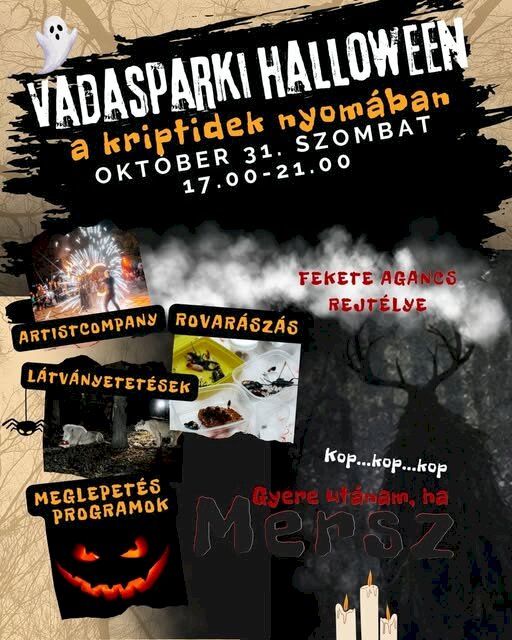 Vadasparki Halloween – A kriptidek nyomában Szervező: Szegedi Vadaspark Időpont: Október 31. (szombat), 17:00 – 21:00 [1] Főbb programok: ArtistCompany (tüzes/akrobata bemutató) Fekete Agancs rejtélye Látványetetések Rovarászás Meglepetés programok